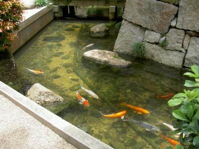 u39/boon3887/medium/25711334.JapaneseGarden10.jpg