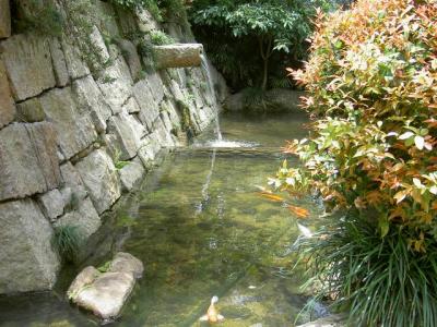 Japanese Garden11.JPG