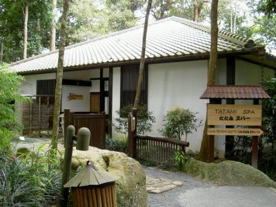 Japanese Garden18.JPG