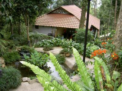 u39/boon3887/medium/25711510.BGarden1.jpg