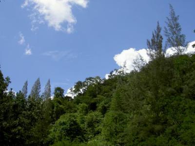 Gua Kelam22.JPG