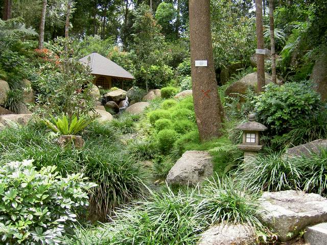 Japanese Garden1.JPG
