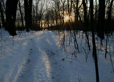 u39/bricciphoto/medium/25425037.TireTracks.tif.jpg