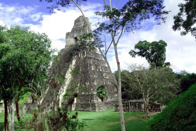 Mayan ruins (Tikal, Guatemala)