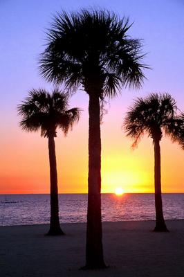 Gulf-coast Florida Sunset