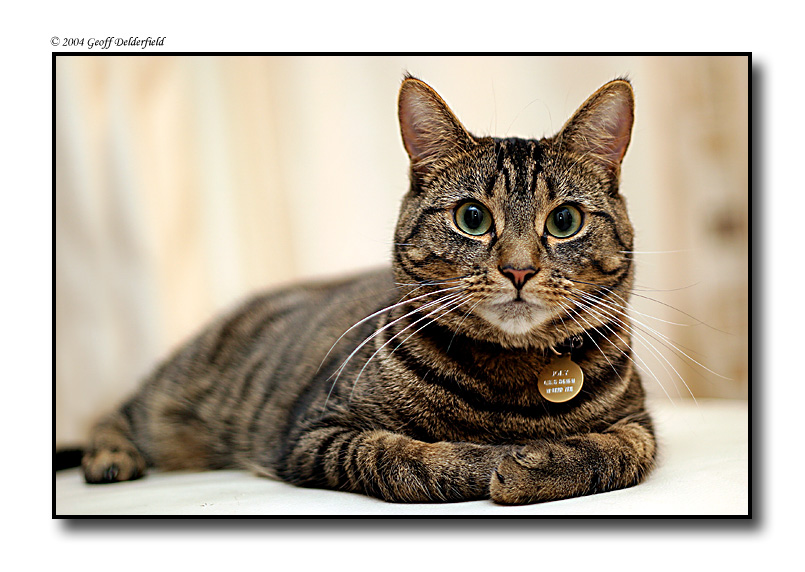 joey posing.jpg