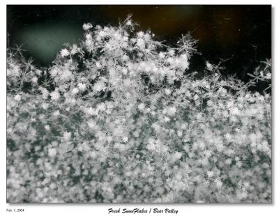 u39/bryan_murahashi/medium/25692885.020104_DSCN3905_SnowFlakes_WP.jpg