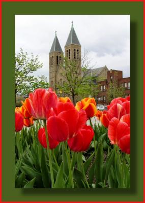 Y con la primavera llegan las flores... en especial los tulipanes que son tan hermosos
