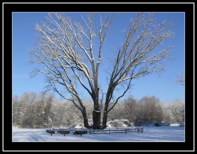 Y llega el invierno ....con camara digital nueva