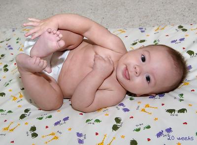 19-wks-playful.jpg