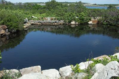 pond-lower-M0984-72lg.jpg