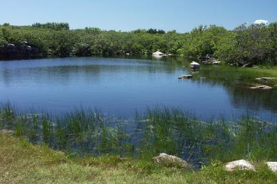 pond-upper-M0987-72lg.jpg
