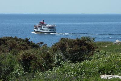 thomaslaighton-leaving-M0973-72lg.jpg
