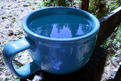 08-10-04A Cup of Sky