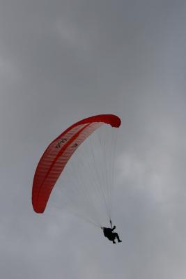 IMG_1536.jpg