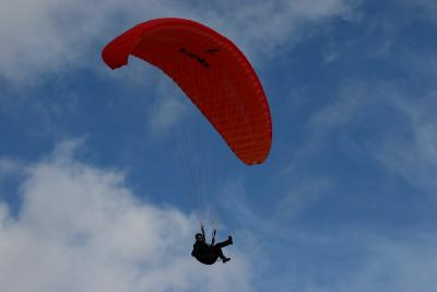 IMG_1539.JPG