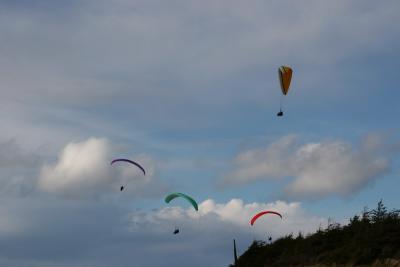 IMG_1549.JPG