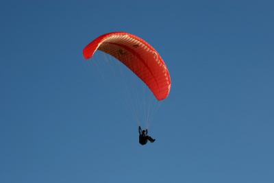 IMG_1565a.jpg