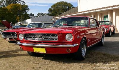 MUST_040718_0131_CR.jpg