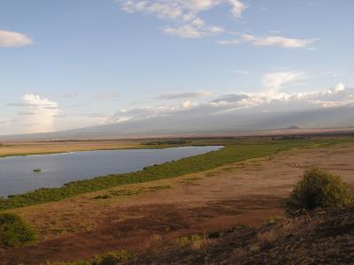 The view over Ekongu Narok Swamp towards Kili.JPG