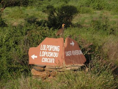 crossroads with guinea fowl