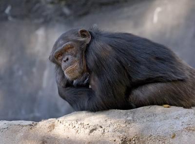 zoo_2005