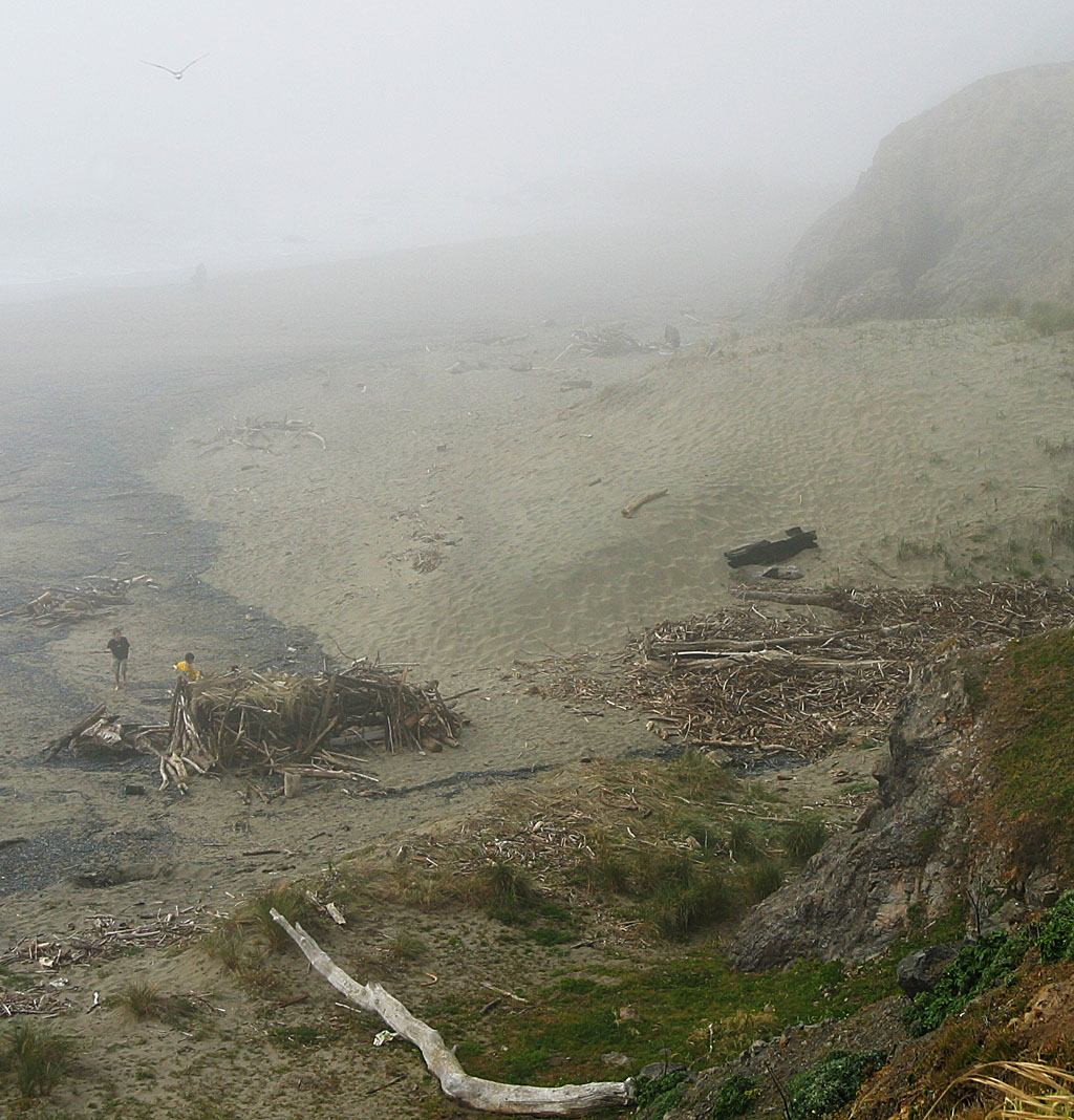 Misty coast, North California