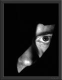 August 11 2004: <br> Dark