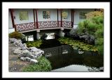 Dr. Sun Yat-Sen Garden #2