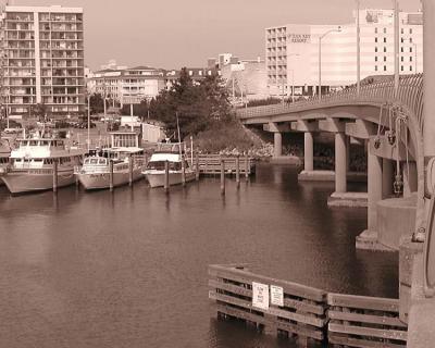 30 January bridge sepia