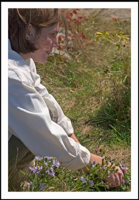 Where Marta picks wildflowers.