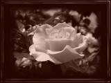 dsc07995_blackbord2.jpg