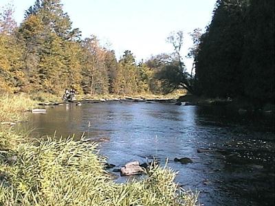 Mark's section -- downstream view - south of Jockvale bridge