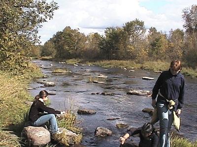 Mark's section - downstream view -- north of Jockvale bridge