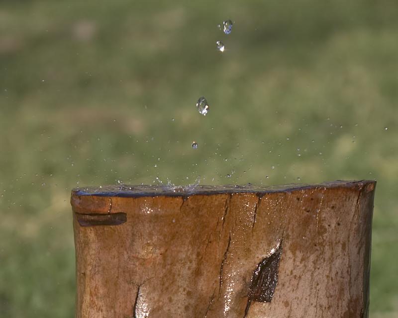 WATERLOG</b><br>by<br>Larry