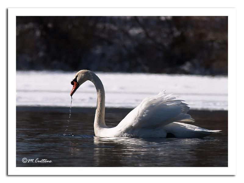 Just A Drink by Mike_C