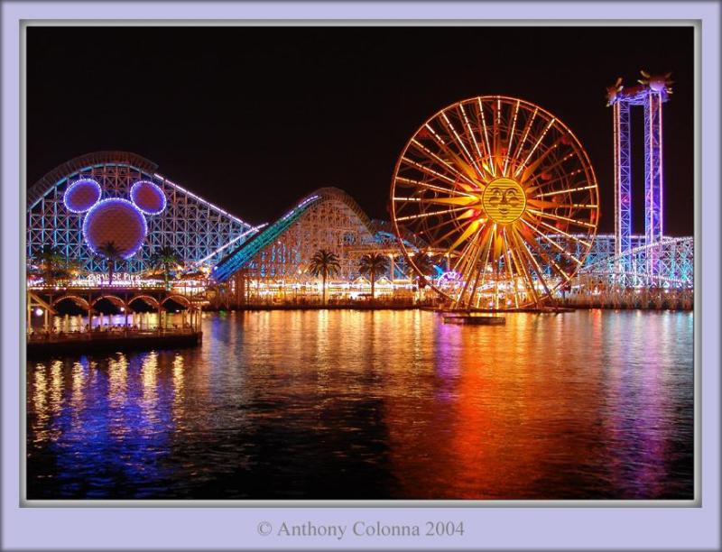 Colors of the Night**