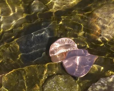 My Two Cents</b><br>by<br>Larry