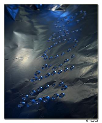 <b>Blue Drops * </b><br><b>by Teapot</b>