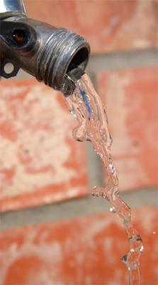 u39/cslr_challenge/medium/25874786.spigot1.jpg