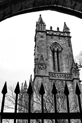 Caged tower *