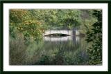 * Manhasset Valley Bridge by Lonnit Rysher