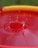 Little Splash (*)<br>by Richard Hopkins