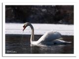Just A Drink by Mike_C