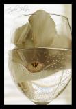 <b>6th Place</b><br><i>Floral Champagne<br>by Angela Johnson</i>