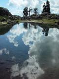 <B>Clouds in the Water</B><BR>*<FONT size=2>Ann Chaikin</FONT>