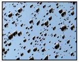 <B>Alien Invasion</B><CR><font size=2>* by Earl Waud</font>