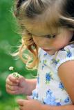 <b>Curls *  8/2/2004</b><br><i>by Jim Fuglestad</i>