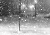 <b>5th Place</b><br><i> Flake <br>by Shu</i>