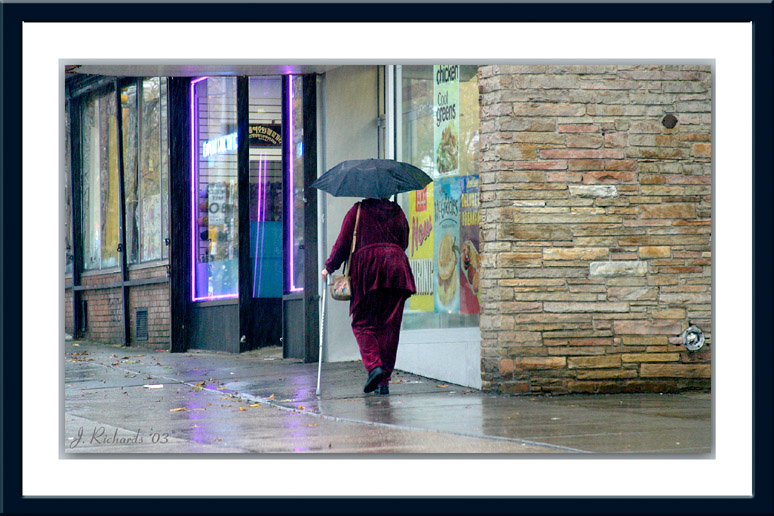 * A Cane in the Rain by Lonnit Rysher
